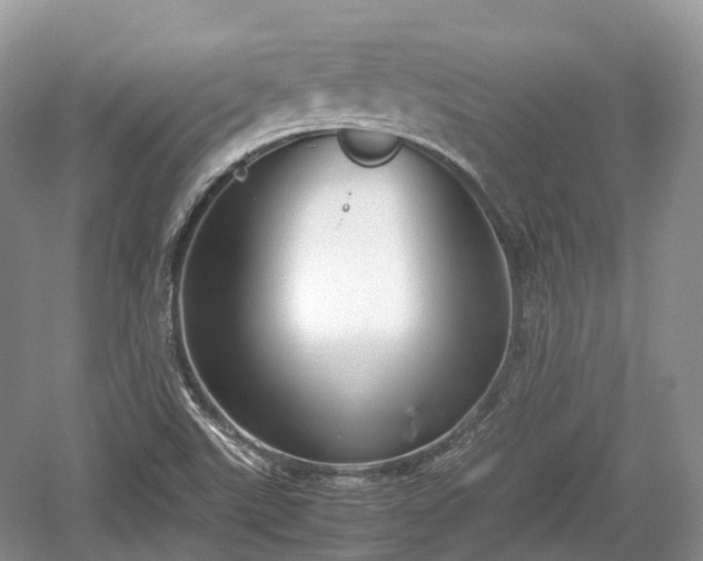 X0000059801507200510241315