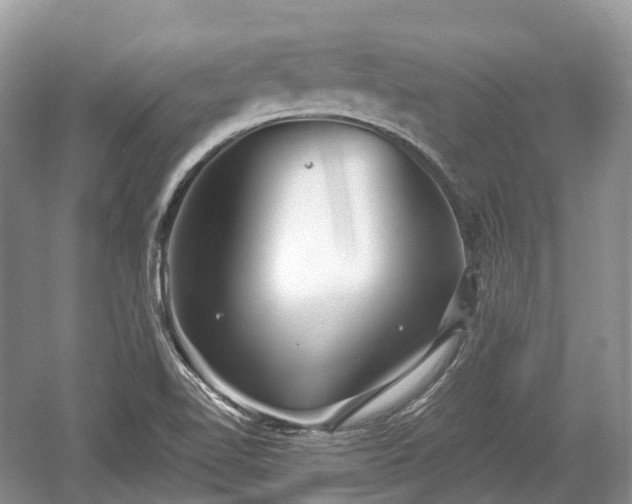 X0000059801510200510241315