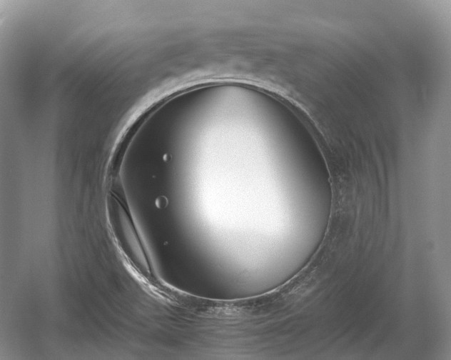 X0000059801511200510241315