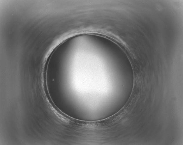 X0000059801512200510241315