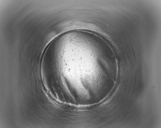 X0000059801513200510241316