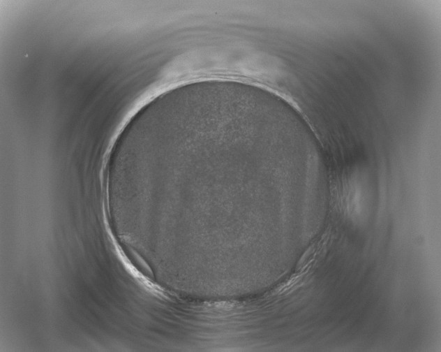 X0000059801515200510241316