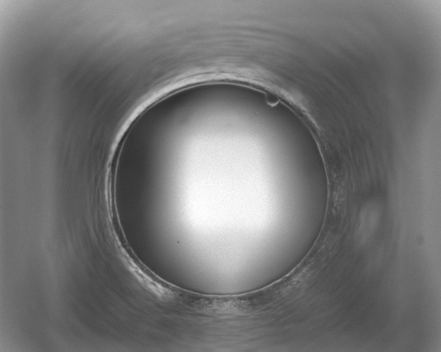 X0000059801516200510241316