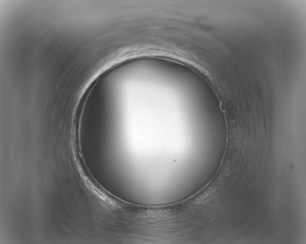 X0000059801518200510241316