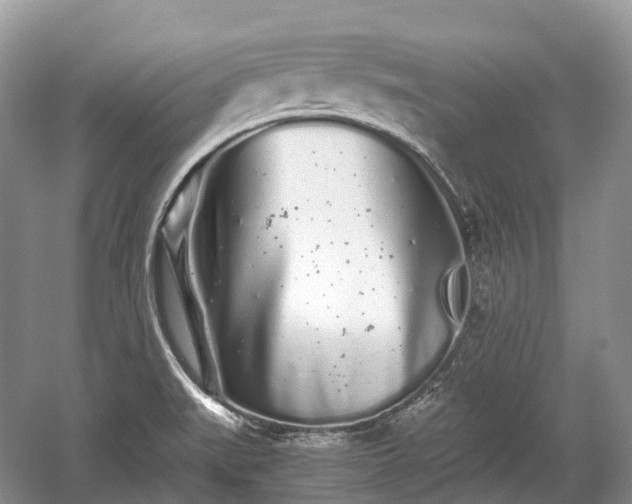 X0000059801519200510241316