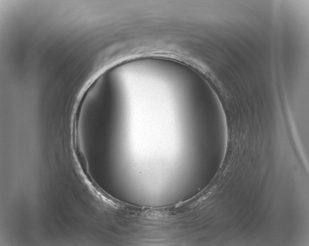 X0000059801520200510241316