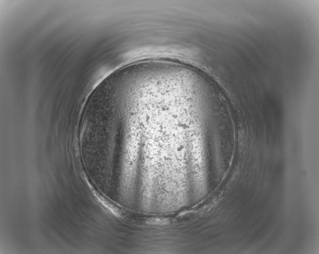 X0000059801521200510241316