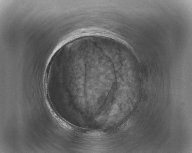 X0000059801522200510241316