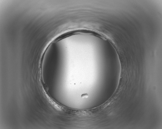 X0000059801524200510241316