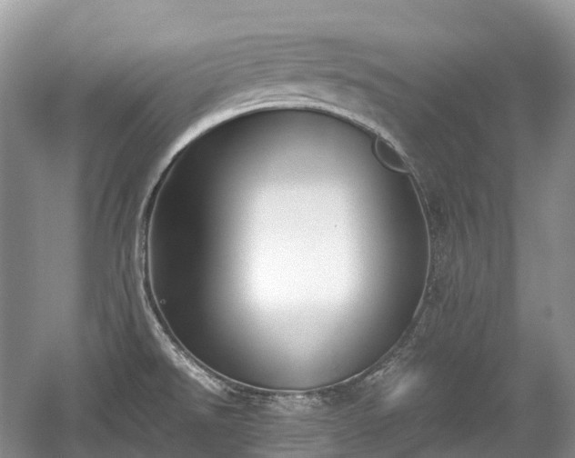 X0000059801526200510241316