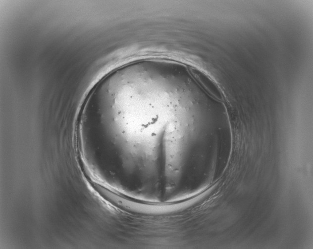 X0000059801527200510241316