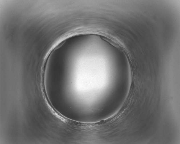 X0000059801528200510241316