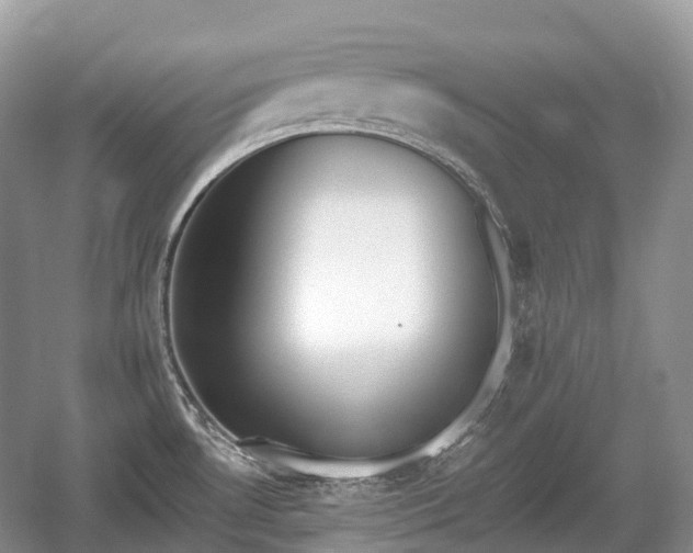 X0000059801530200510241316