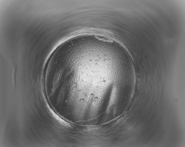 X0000059801531200510241316