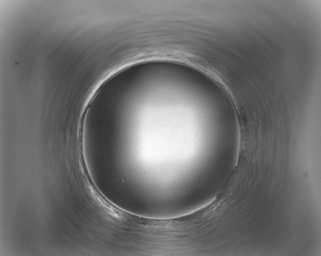 X0000059801532200510241316