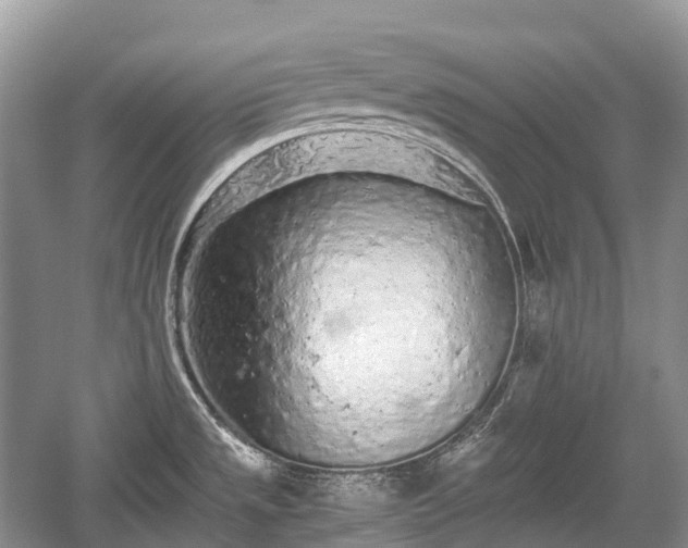 X0000059801533200510241316