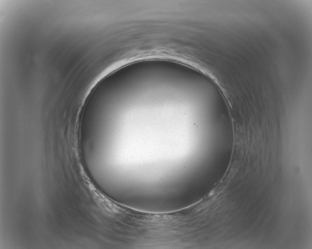 X0000059801534200510241316