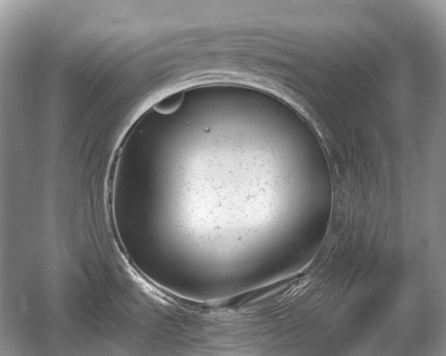 X0000059801535200510241316