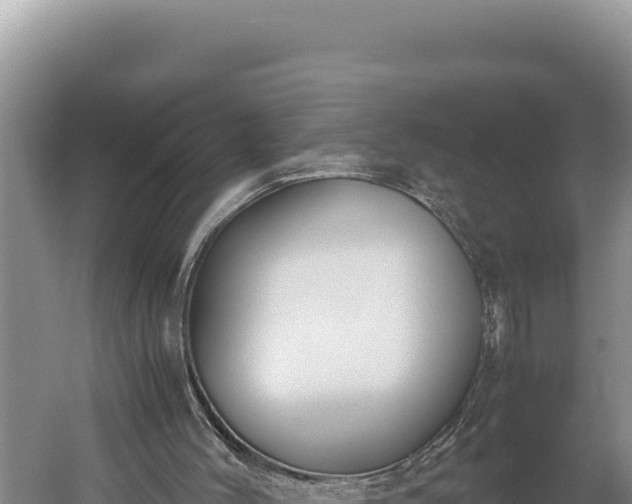 X0000059800004200510281651