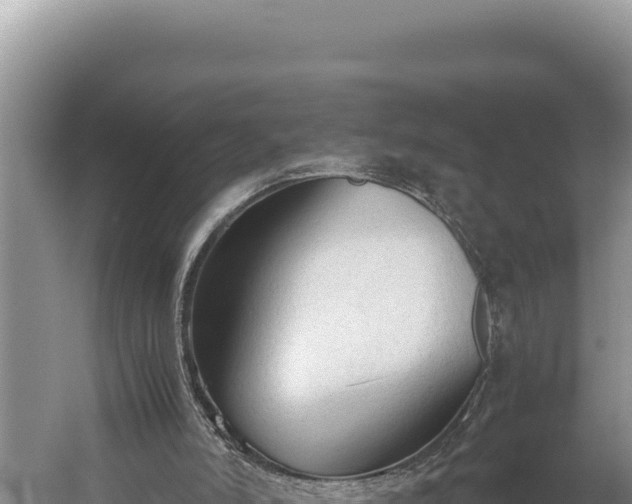 X0000059800006200510281651