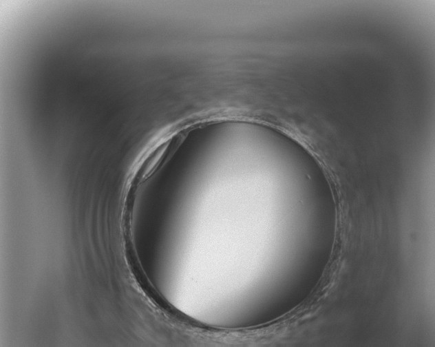 X0000059800007200510281651