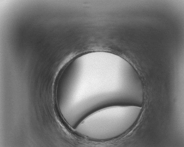 X0000059800008200510281651