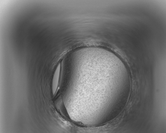 X0000059800009200510281651