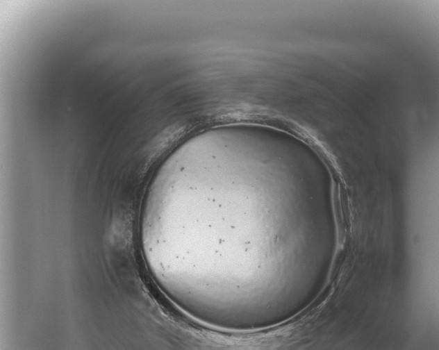 X0000059800010200510281651