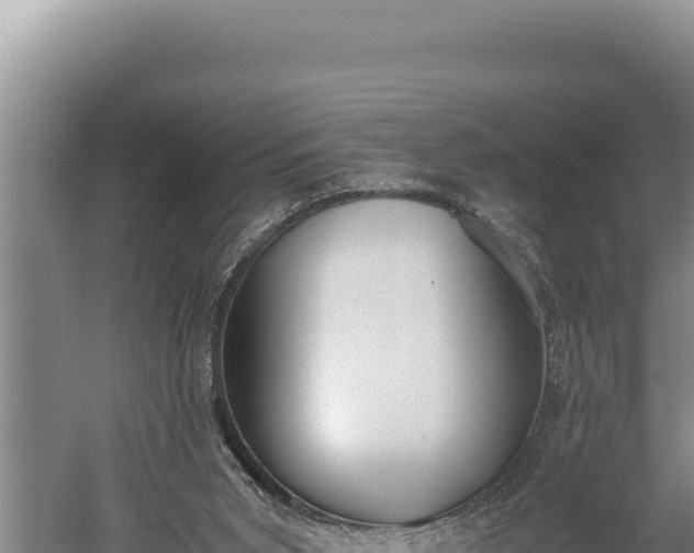 X0000059800015200510281651