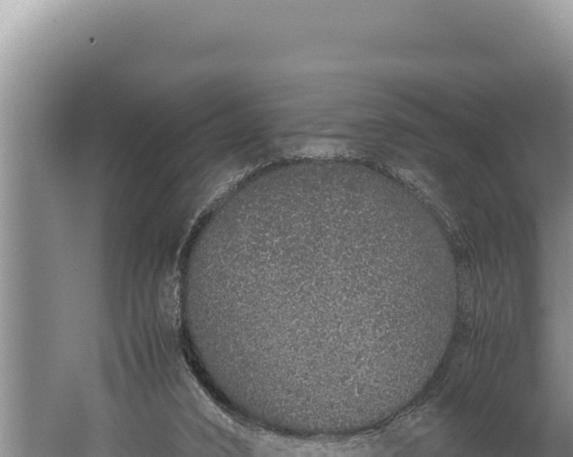 X0000059800016200510281651