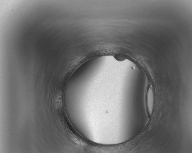 X0000059800017200510281651