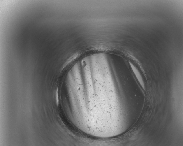 X0000059800020200510281651