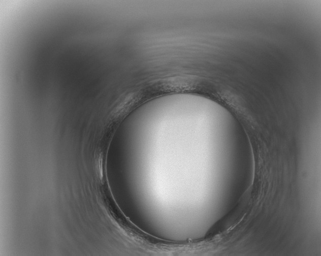 X0000059800021200510281651