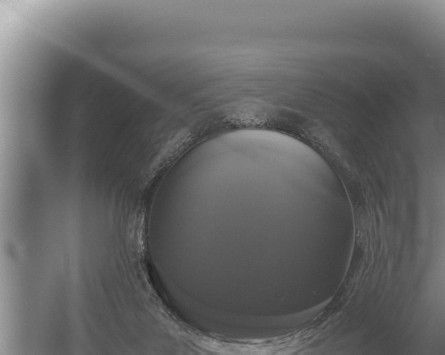 X0000059800023200510281651