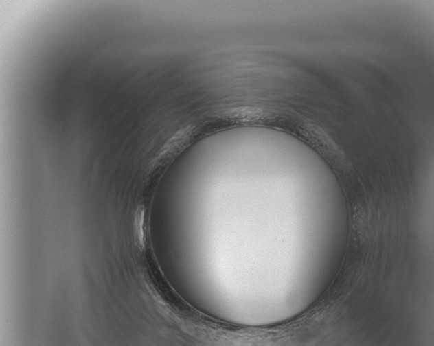 X0000059800024200510281651