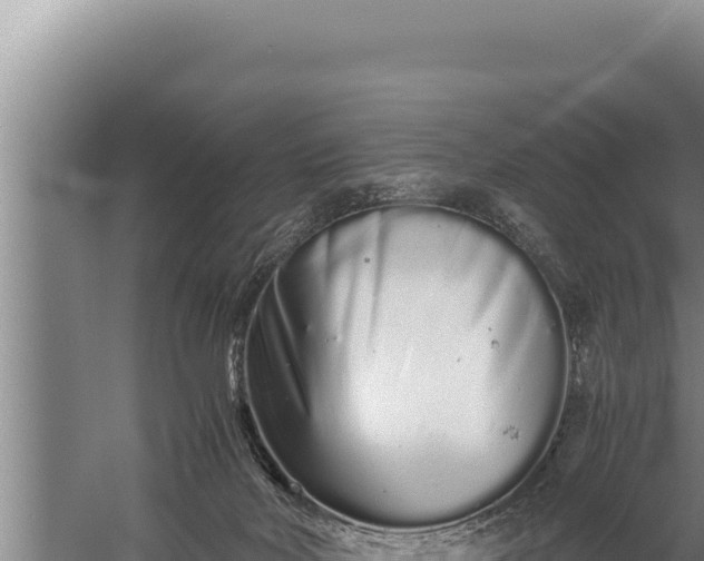 X0000059800026200510281651