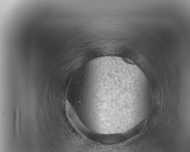 X0000059800029200510281651