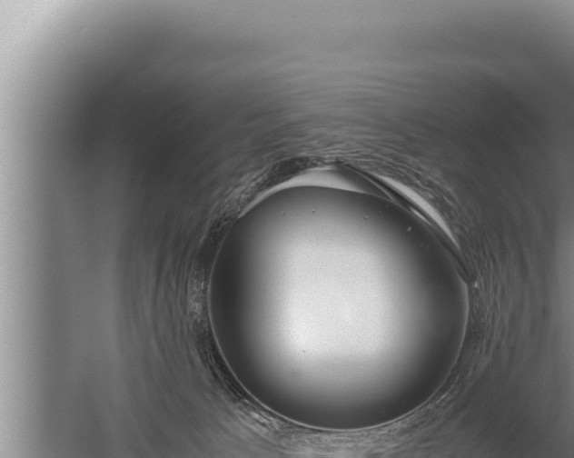 X0000059800033200510281650