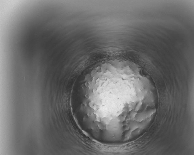 X0000059800034200510281650