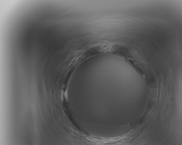 X0000059800035200510281650