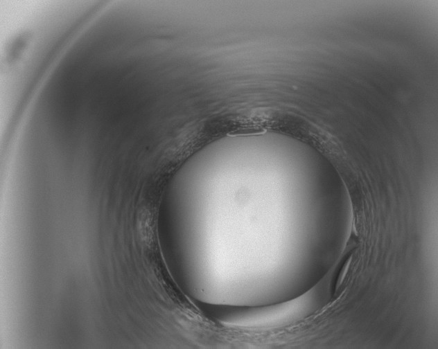 X0000059800037200510281650