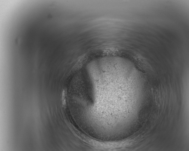 X0000059800038200510281650