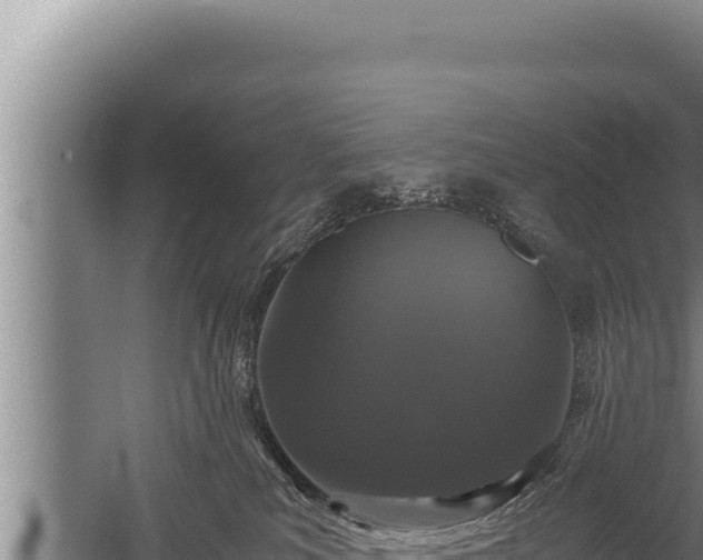 X0000059800039200510281650