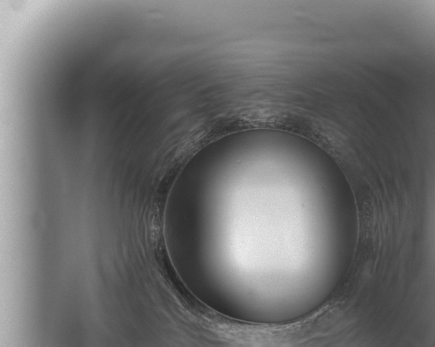 X0000059800040200510281650