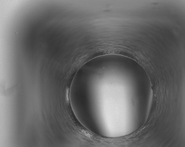 X0000059800041200510281650