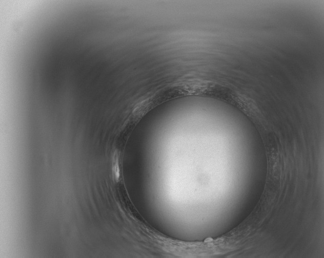 X0000059800042200510281650