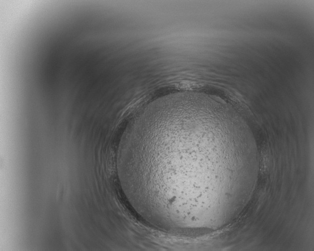 X0000059800043200510281650