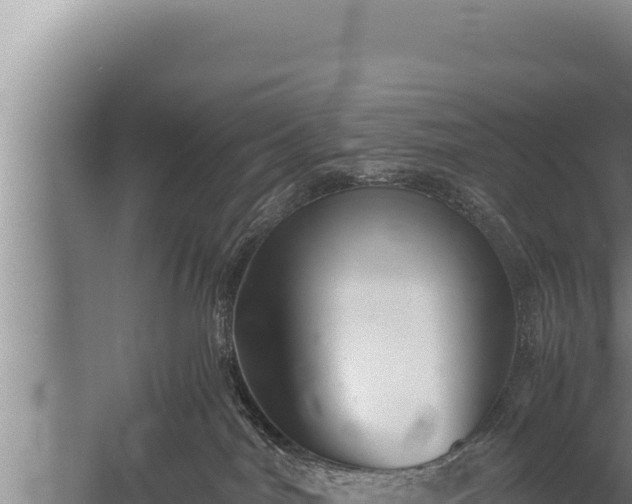 X0000059800044200510281650