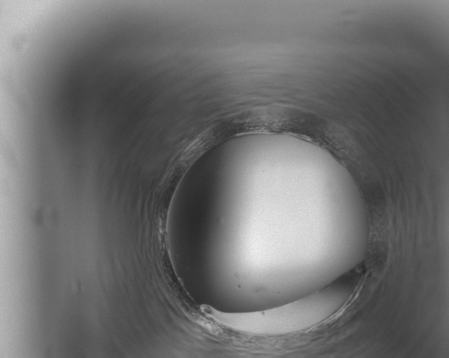 X0000059800045200510281650