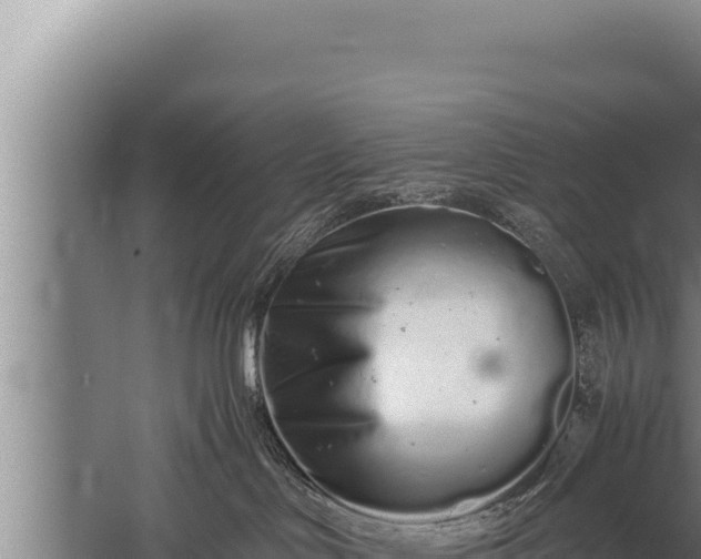 X0000059800046200510281650